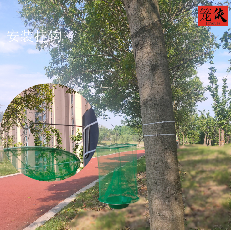 1688988045664084.png 081dd5c280cab8c2025c2e4050531df.png