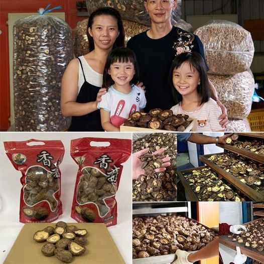 【阿亮香菇園】採摘園自產自銷,精品香菇乾!人工採摘烘乾!每一朵都超大顆! 【阿亮香菇園】採摘園自產自銷,精品香菇乾!人工採摘烘乾!每一朵都超大顆!